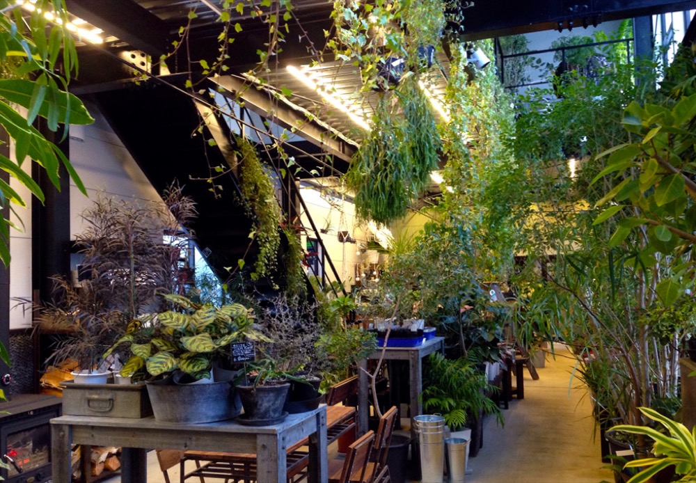 Flower Space Gravel 店内